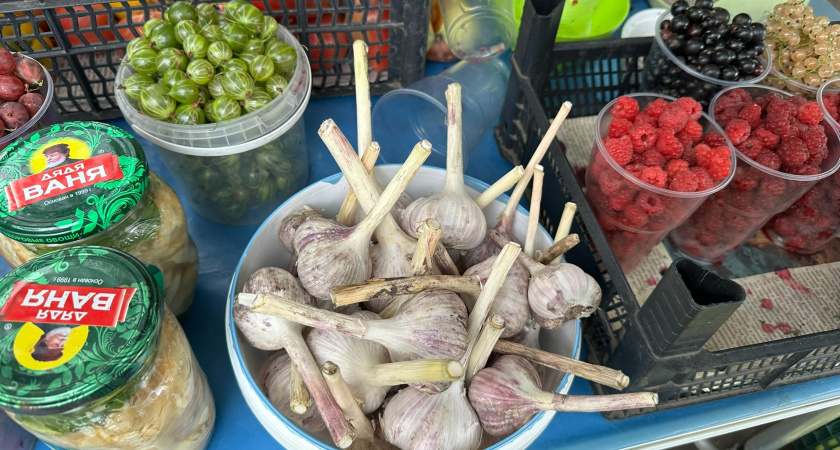 Всего 1 долька, а сколько пользы: эксперт назвал самый полезный овощ - содержит 11 важных витаминов