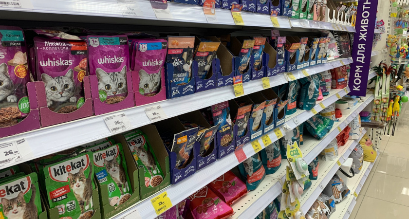 Берите смело по 5 пачек: Роскачество одобрило эти влажные корма для кошек - без металлов и бактерий