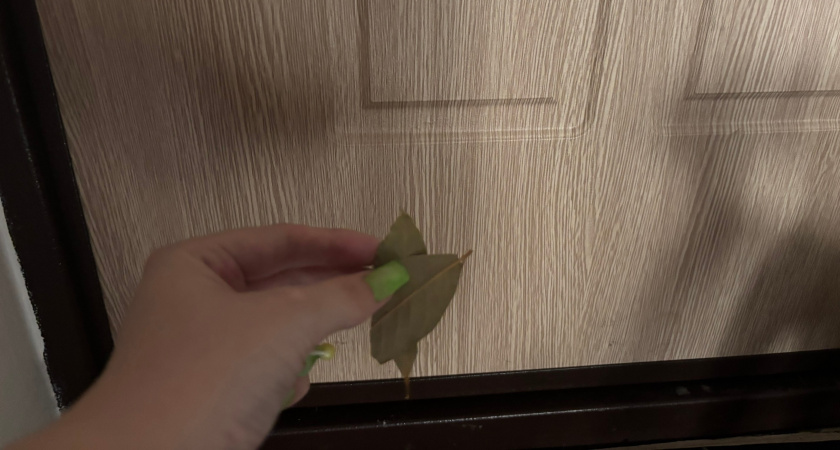 Лаврушку измельчила - и раскидала у порога: жить стало спокойнее, а перемены радуют