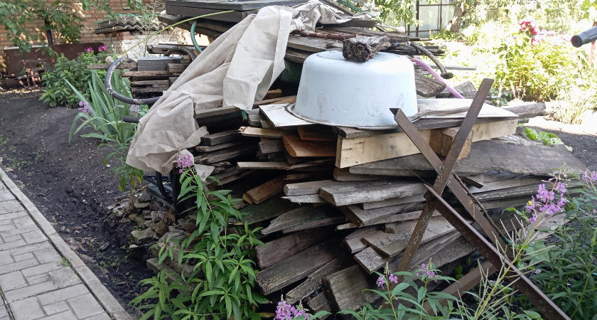 Переехал в деревню и понял, как легко можно заработать: рассказываю, сколько можно получить на дровах