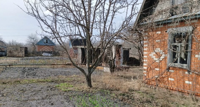 Спустя 5 лет осознали, на чем можно заработать в деревне: теперь получаем чистыми 5 млн в год