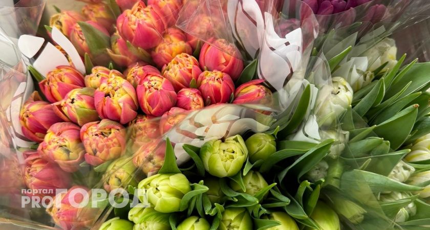 В Оренбургской области проверили более 150 тысяч тюльпанов перед экспортом