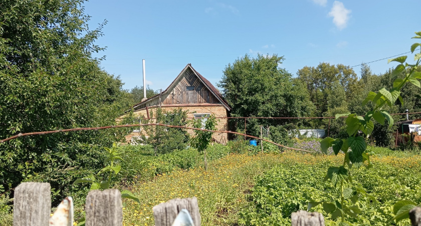 Переехали из города в глушь и разбогатели без коров и кур: пенсионеры поняли, как легко заработать в деревне 