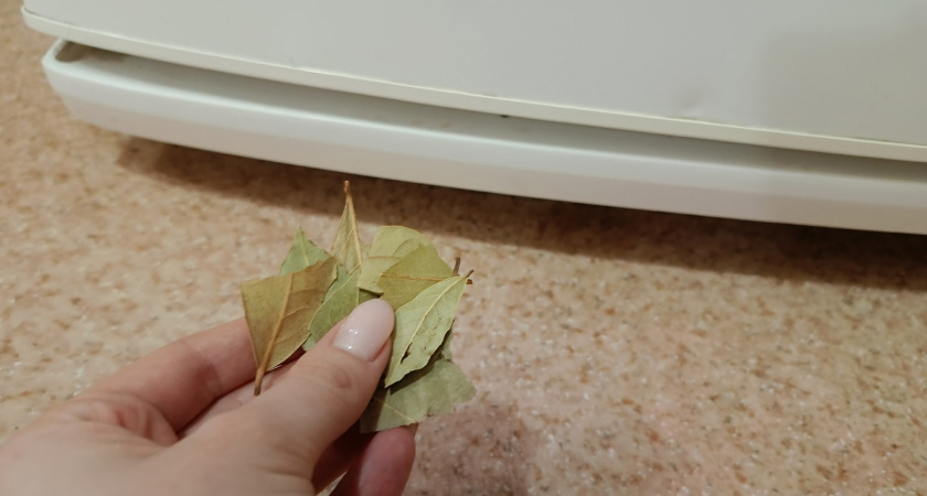 Аромат как будто из ресторана: эксперт раскрыл, где нужно держать лаврушку - точно не в шкафу 