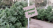 Где купить ёлку в Оренбурге?