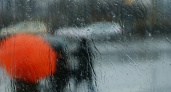 В Оренбуржье сохраняется дождливая и ветреная погода
