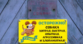 Фото дня: Про очень злого Тузика