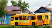 Фото: Деревенский троллейбус