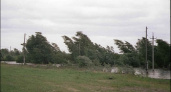 В Оренбургской области сохраняется ветреная погода