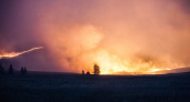 Фото дня: Степной пожар