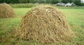 В Кваркенском районе хулиган сжег 4,5 тонны сена