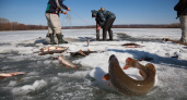 В Беляевском районе накажут рыбака, незаконно расставившего 4 сети