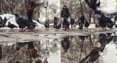 Фото дня: жизнь  города в отражении луж
