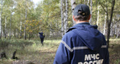 Спасатели разыскали пенсионерку, заблудившуюся в лесу