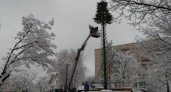 К Новому году в Оренбурге начали устанавливать главную городскую елку