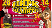 Цирк, цирк, цирк. В Оренбург приезжает шапито "Экстрим-Арена"