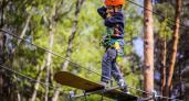 Одной веревкой связаны. В “Дубках” появится новый веревочный парк