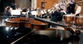 Гремит басами. В оренбургской филармонии выступит камерный оркестр