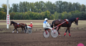 Эх, кони, что за кони! Репортаж с оренбургского ипподрома
