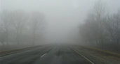 Ёжики в тумане. МЧС предупреждает о плохой видимости на трассе