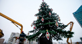 Колючая красавица. К Новому году в Оренбурге установят 54 ёлки
