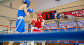 «Золото» оренбуржцев. В областном центре завершился региональный боксерский турнир