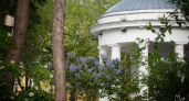 Городская земляника. ALRINA  прогулялась по центру Оренбурга