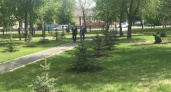 Уже скоро. В Оренбурге появится профессиональная скейт-площадка