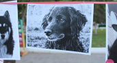 Брат меньший. В Оренбурге состоялась "фотосушка" с домашними животными