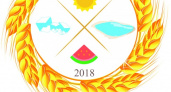 "Золотой колос Оренбуржья-2018". Соль-Илецк встречает сельских спортсменов
