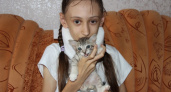 Котенок и мечты. Как живет девочка из Гая, прооперированная вопреки кибератаке