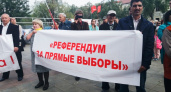 Блеф и компромат. Дмитрий Васильев не согласен с идеей прямых выборов. Возможно, он - тролль