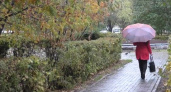 Дождливый Оренбург. Видеозарисовка Владимира Шпака