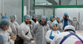 Есть контакт. Цифровые продукты компании “МегаФон” в агрохолдинге “А7 Агро”, видео Орен1
