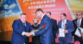 Кормильцы. В Оренбурге отметили День работника сельского хозяйства