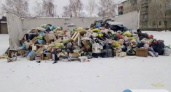 Вялые. Павел Лещенко о начале работы ООО "Природа", оренбургского оператора ТБО