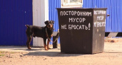 В одну кучу. Наталья Русинова о «вкладе» мелких магазинов в мусорные нормативы