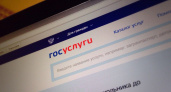 Тысячи запросов. На портале Госуслуг можно узнать, где хранится кредитная история