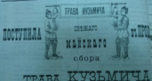 Кузьмичева трава. Николай Макаров о знаменитом оренбургском снадобье