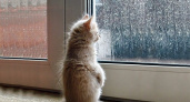 It's a raining day. Прогноз оренбургской погоды на 08.04.19 г.