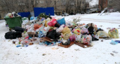 Уговорили. ООО «Природа» изменит график вывоза мусора