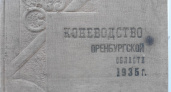 Достойные жеребцы. Татьяна Дегтярева об оренбургском коневодстве в начале ХХ века