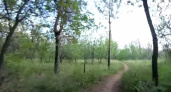 Нет времени объяснять, погнали. Велопрогулка Сергея Кутимского в оренбургской лесополосе