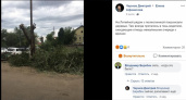 Кто видел эколога. Владимир Беребин о работе администрации Оренбурга с жалобами горожан