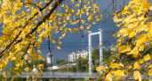 Движение в Оренбурге. Жанна Валиева прогулялась по осеннему городу