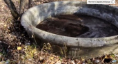Фонтаны Зауральной рощи. Видео Марины и Сергея Волковых