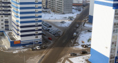 Морозно-полосатые. Фотозарисовка Сергея Кутимского