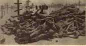 Среди мертвых. История голода в Оренбуржье в начале XX века от Анастасии Шипиловой