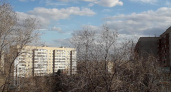 Весна покатила дальше. Фотозарисовка новотроицкой природы от Ольги Штейн
