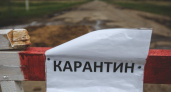 Можно или нельзя? Об отличиях режима самоизоляции и карантина в Оренбуржье